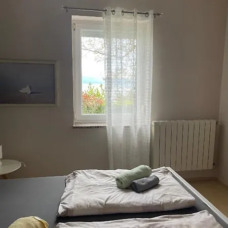 Appartamento With A Swimming Pool Opric, Opatija - 7711